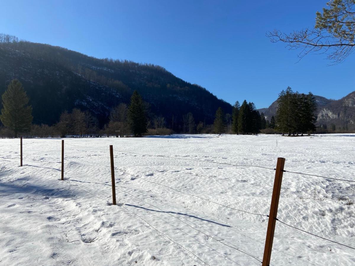 Apartmaji Rupnik Bohinjska Bistrica Exteriér fotografie
