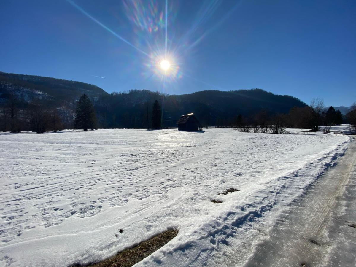 Apartmaji Rupnik Bohinjska Bistrica Exteriér fotografie